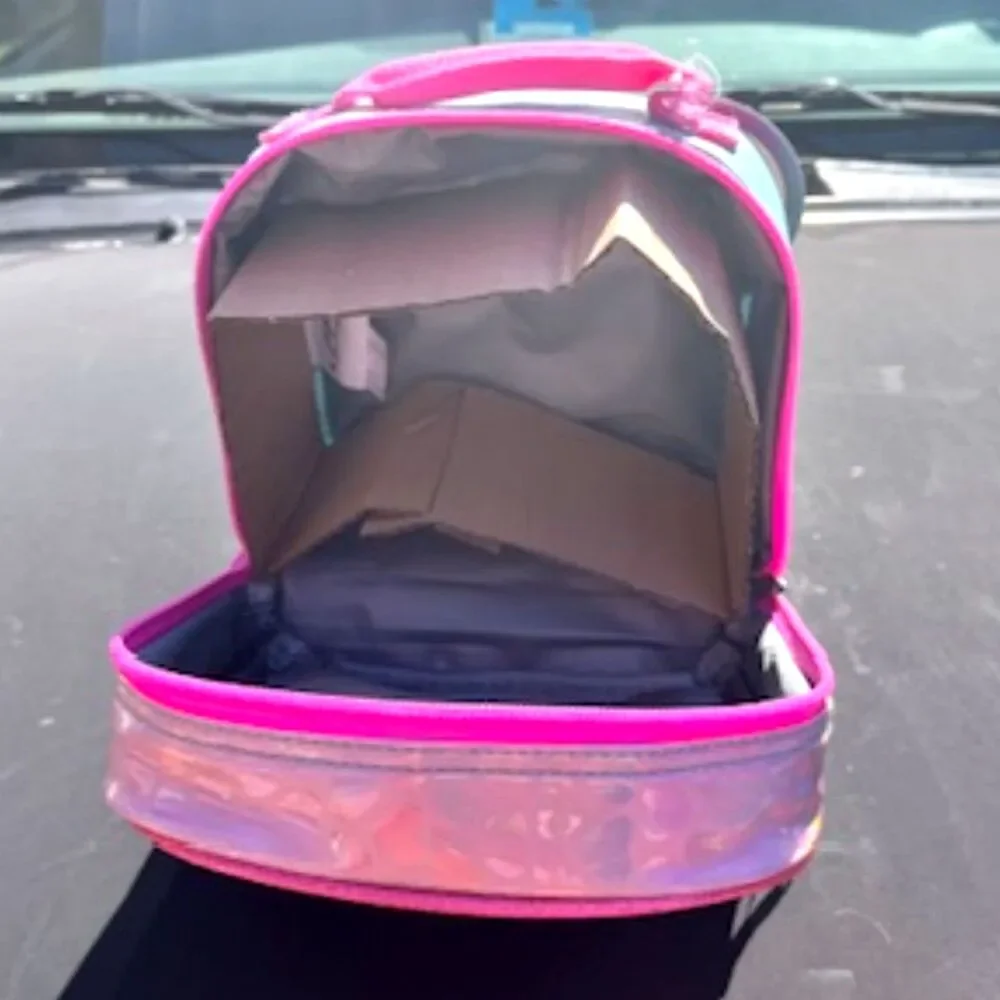 {2} Compartment Thermal Insulated Lunch Bag . w/ Padded Handle . New Item